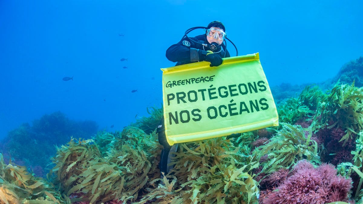 Merveilles des océans Greenpeace