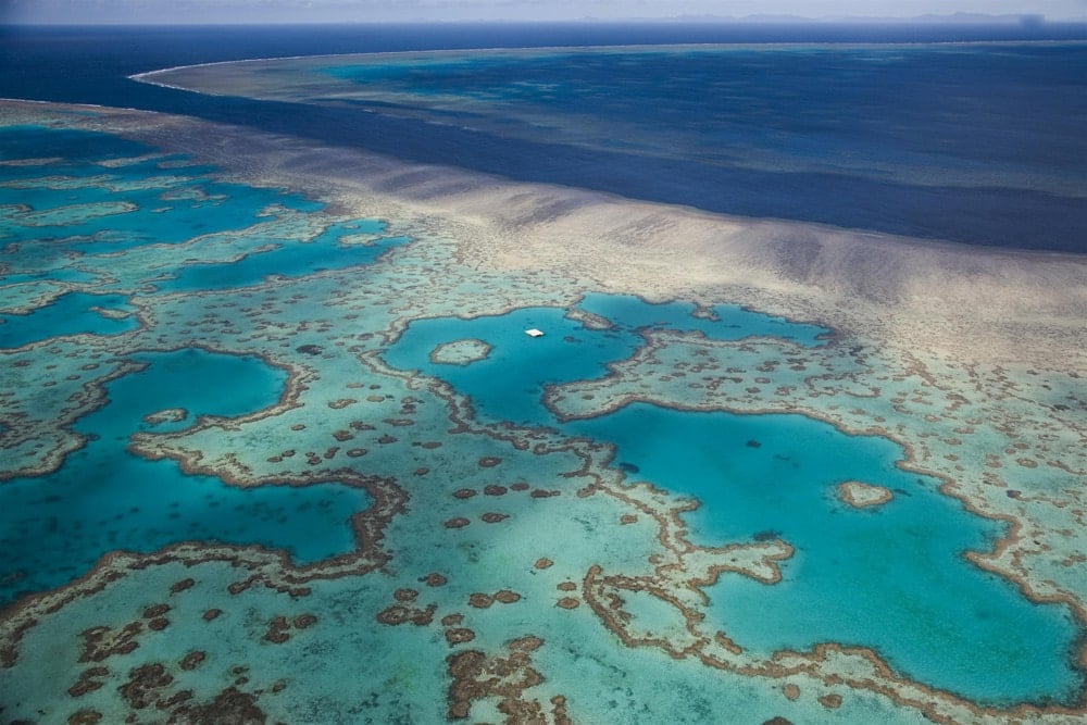 Great Barrier Reef Endet Die Traumzeit Im Kohle Albtraum Greenpeace