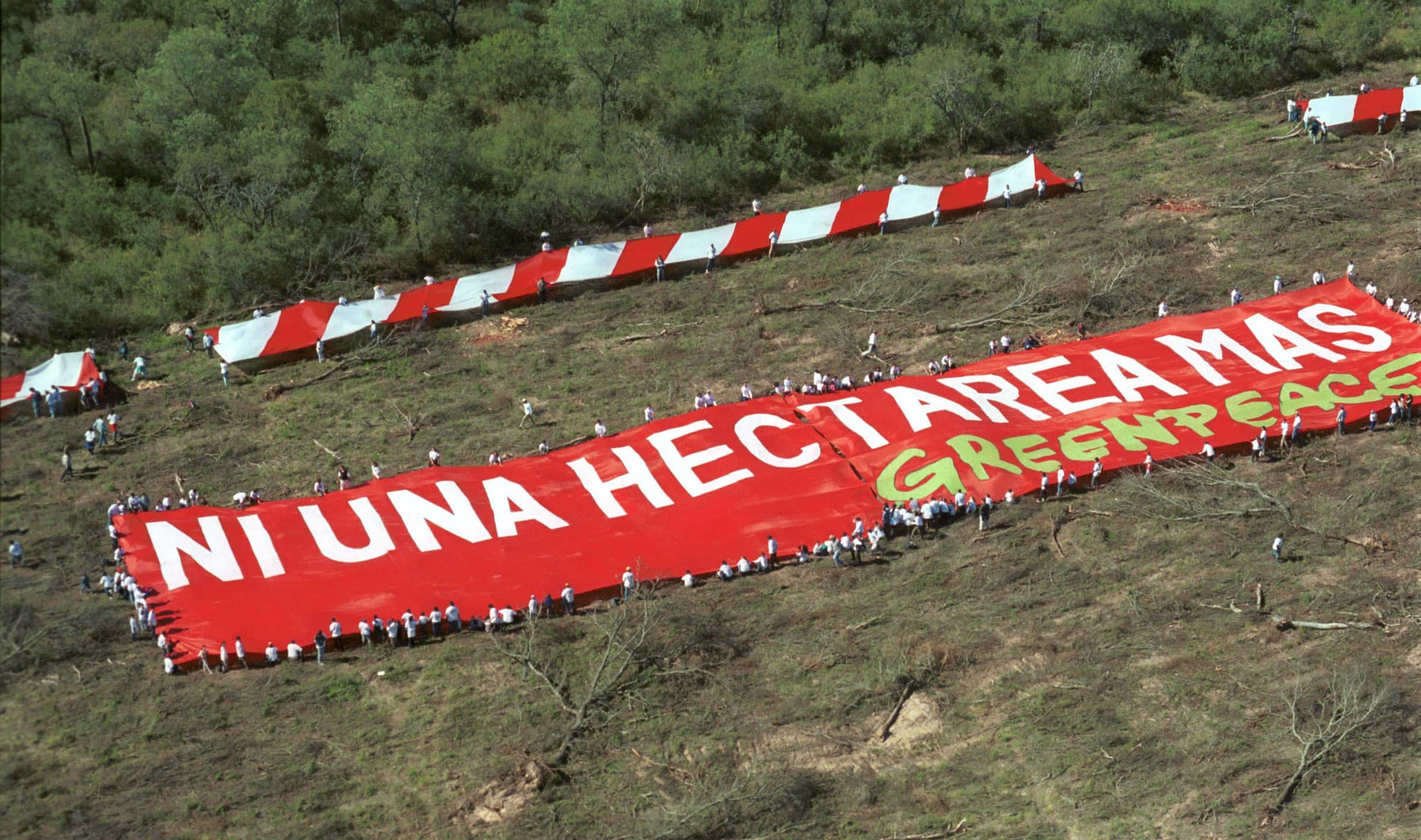 Bauern und AktivistInnen von Greenpeace halten gemeinsam ein Banner mit der spanischen Aufschrift «Nicht einen Hektar mehr». Damit protestierten sie 2004 gegen die Rodung für den Sojaanbau. © Gustavo Tarchini