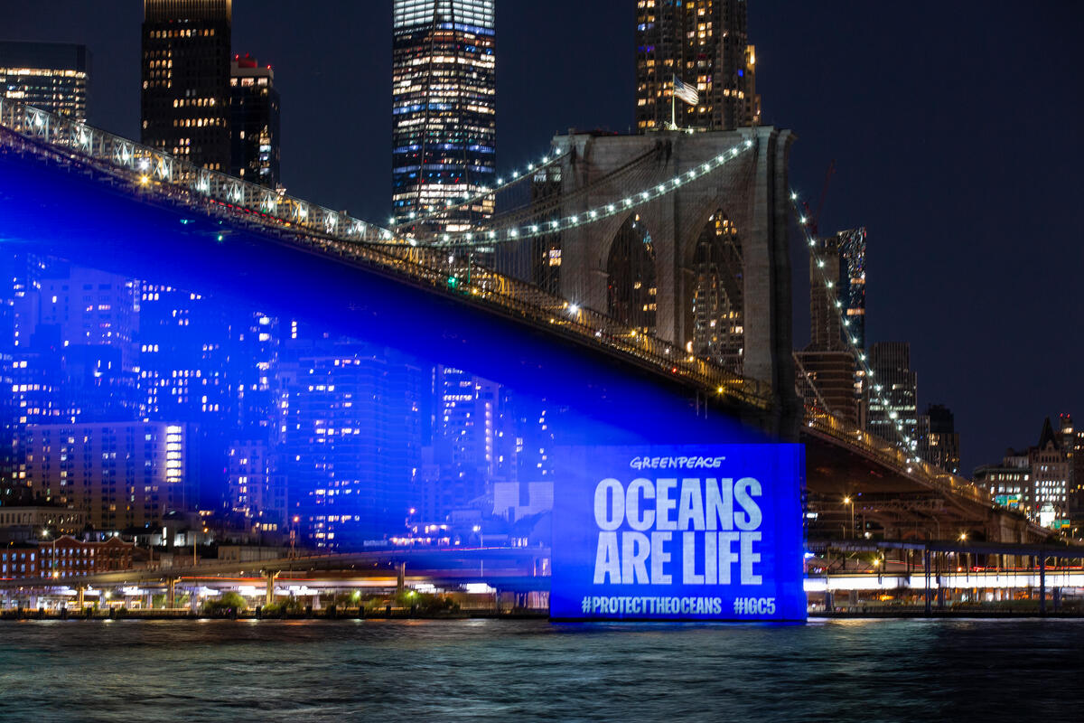 Protect the Oceans Projection onto Brooklyn Bridge.