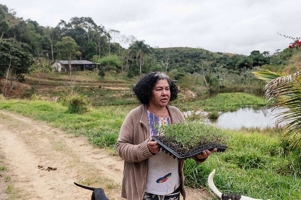 Sirley Gil auf ihrem Stück Land in den Bergen Brasiliens. © Ian Cheibub