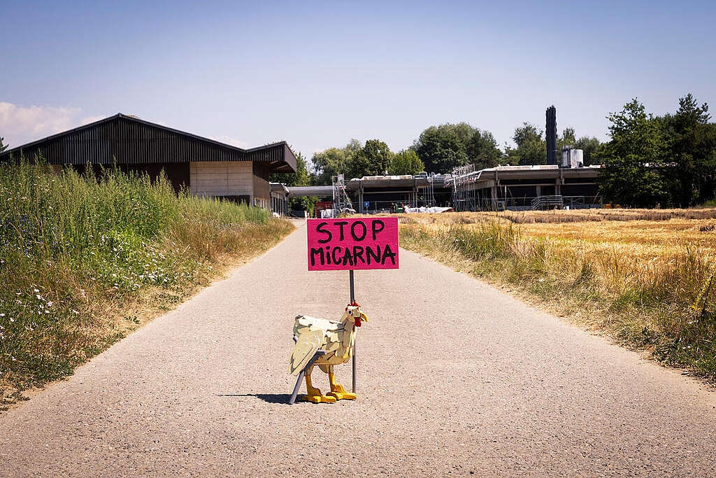 Méga-abattoir Micarna à St-Aubin: Greenpeace Suisse fait opposition aux permis de construire