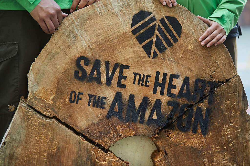 Erfolg für Indigene und Greenpeace im Amazonas-Regenwald