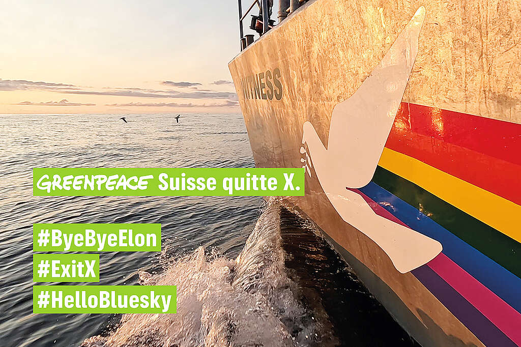 Greenpeace dit au revoir à X et bonjour à Bluesky