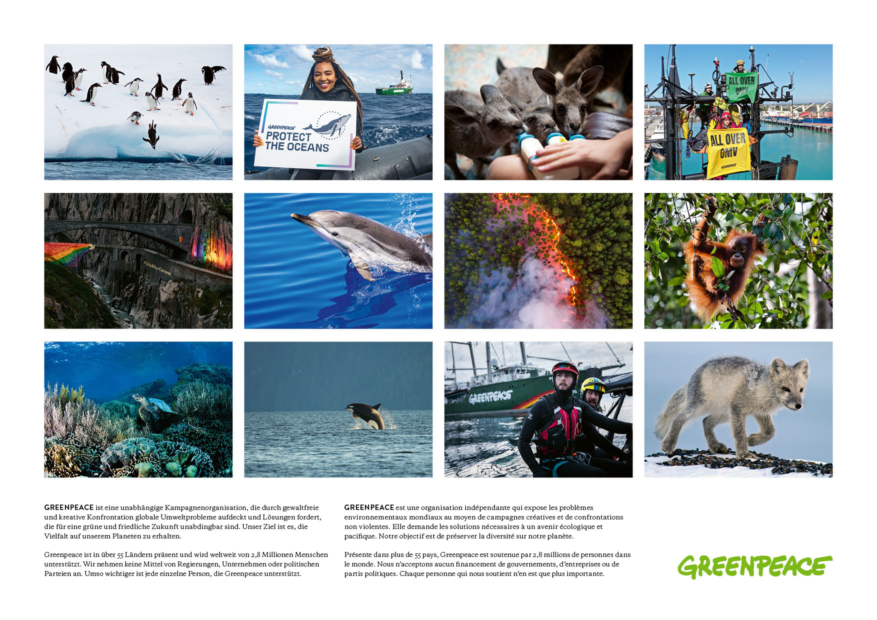 Gewinne einen GreenpeaceKalender Greenpeace Schweiz